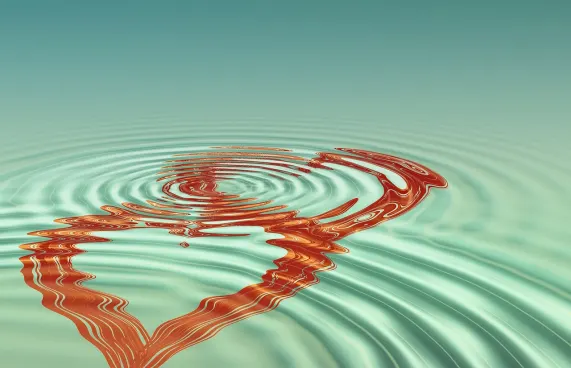 Casollo Kasino Podpora